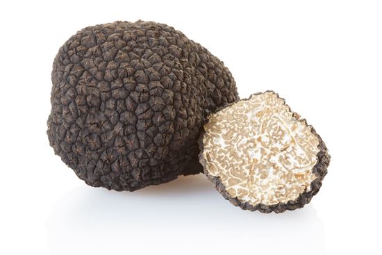 Immagine di TARTUFO NERO ESTIVO