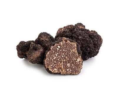 Immagine di TARTUFO NERO UNCINATO